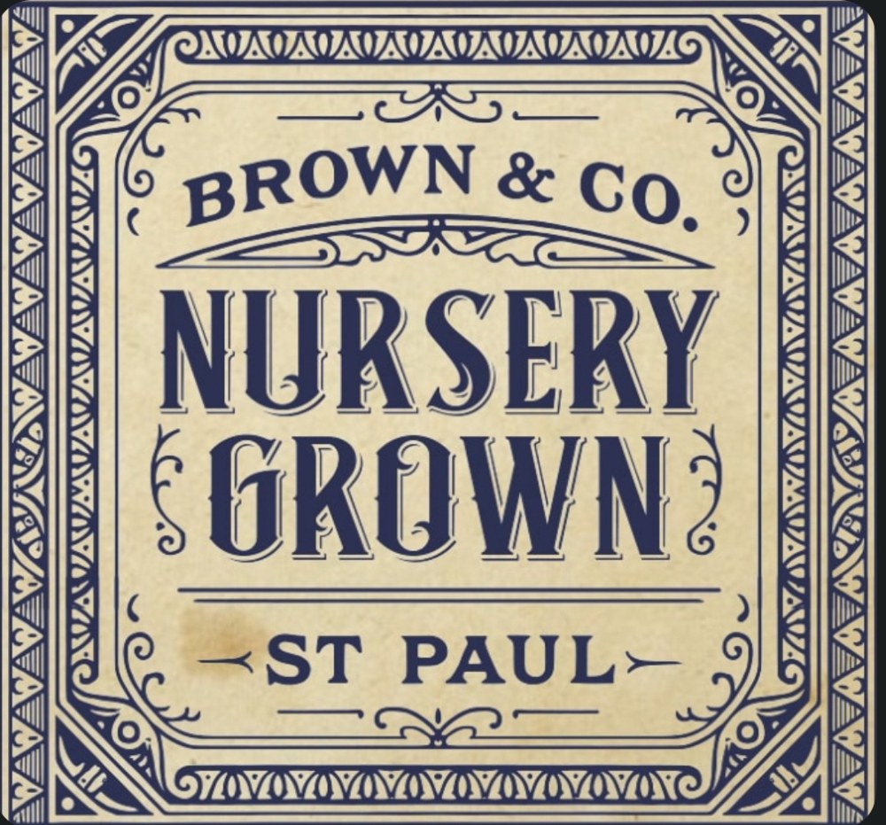 Brown and Co. Nursery Grown St Paul